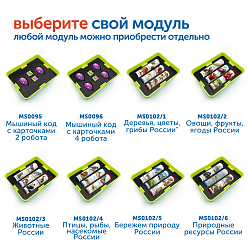 Модуль "Природные ресурсы России"