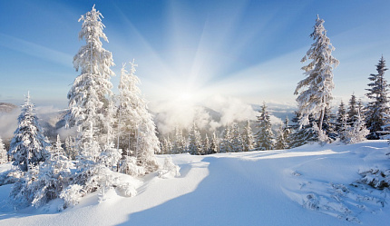 Баннер "Зима" фото 1,8*4м