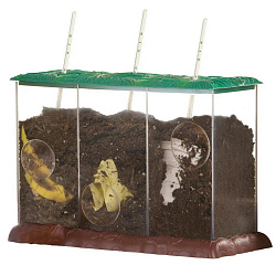 Модуль "Экология. Мусор как удобрение"