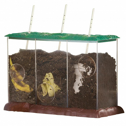 Модуль "Экология. Мусор как удобрение"