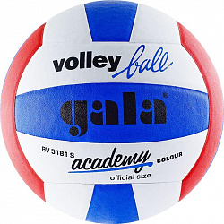 Мяч волейбольный GALA Academy тренировочный, размер 5