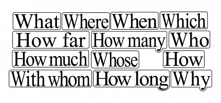 Набор магнитных карточек Special questions (большой размер)