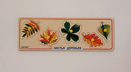 Кто что ест? Домашние животные (доска Сегена)