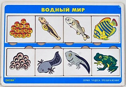 Чудеса преображений " Водный мир"