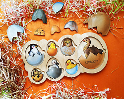 Рамка-вкладыш "Кто живет в яйце?"