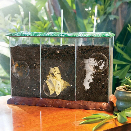 Модуль "Экология. Мусор как удобрение"