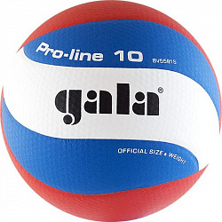 Мяч волейбольный матчевый GALA Pro-Line 10 матчевый, размер 5