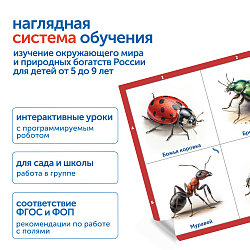 Модуль "Птицы, рыбы, насекомые России"