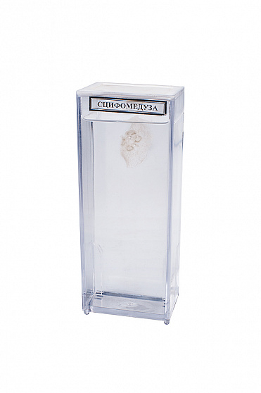 Влажный препарат "Сцифомедуза"