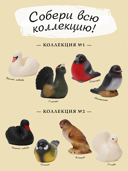 Изучаем птиц. Коллекция 4