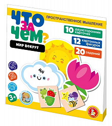 Игра развивающая "Что за чем? Мир вокруг" Учись, играя