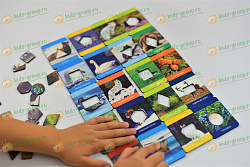 Игровой набор ЖИВОТНЫЙ И РАСТИТЕЛЬНЫЙ МИР СЕВЕРА (по методике Сегена) (ХДФ УФ печать)