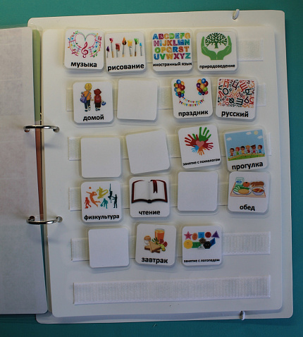 Пособие ПЕКС. ДНЕВНИК