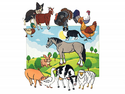 Ферма фетр (13дет)