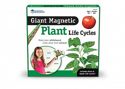 Развивающая игрушка "Жизненный цикл растений",магнитный  (демонстрационный материал, 12 элементов)