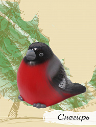 Изучаем птиц. Коллекция 1