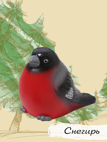 Изучаем птиц. Коллекция 1