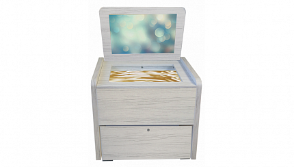 Сундучок психолога-дефектолога "Антошка"