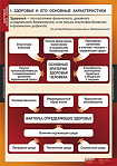 Таблицы демонстрационные "Здоровый образ жизни"