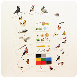 Набор магнитных карточек "Загадки-отрицания". Птицы.