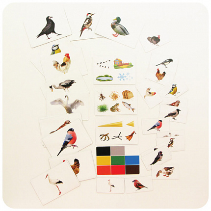 Набор магнитных карточек "Загадки-отрицания". Птицы.