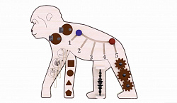 Бизиборд «Ловкая обезьянка»