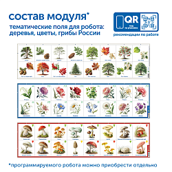 Модуль "Деревья, цветы, грибы России"