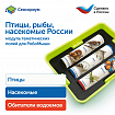Модуль "Птицы, рыбы, насекомые России"