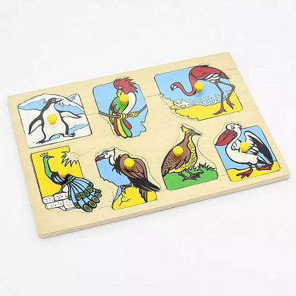 Развивающее пособие "Экзотические птицы"