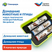 Модуль "Наше сельское хозяйство. Домашние животные и птицы"