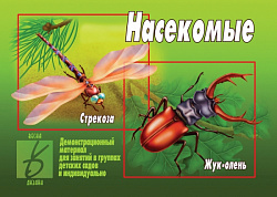 «Насекомые»