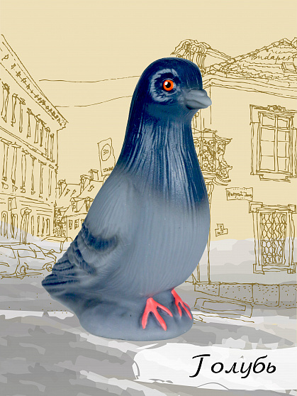 Изучаем птиц. Коллекция 4