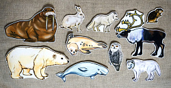 Набор "Животные Арктики", 10 шт