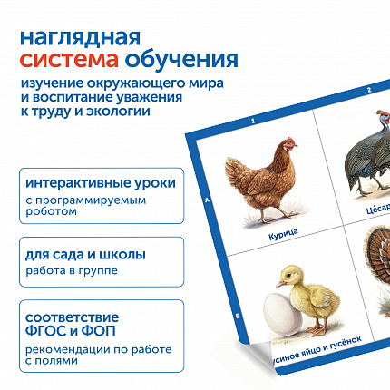 Модуль "Наше сельское хозяйство. Домашние животные и птицы"