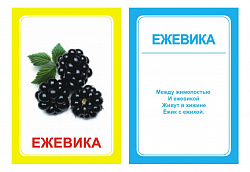 Логопедические картинки для автоматизации звука "Ж" (комплект 30 шт)