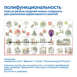 Природные богатства России с РобоМышью с системой хранения (4 робота)