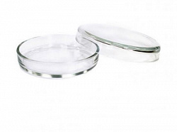 Чашка Петри 100х20