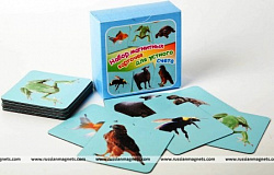 Набор магнитных карточек "Устный счет" (фон голубой)