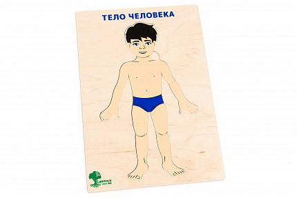 Планшет "Тело человека"
