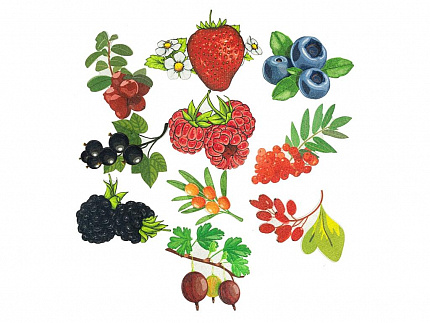 Ягоды ДМ фетр (10дет)