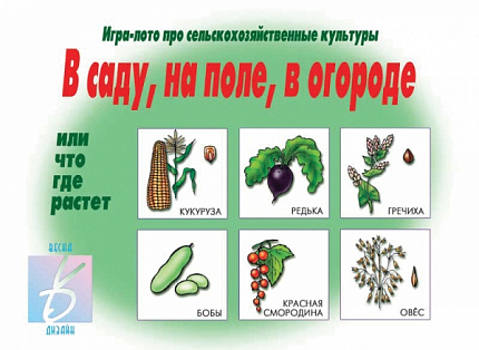 «В саду, на поле, в огороде»
