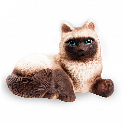 Кошка Сиамка