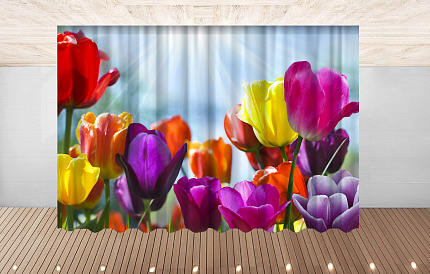 Комплект фотоштор. Тюльпаны №4