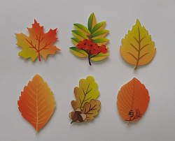 Набор  "Листья" 6шт.