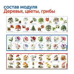 Природные богатства России с РобоМышью (с системой хранения)