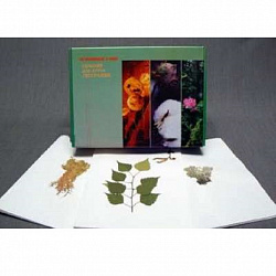 Гербарий для курса географии (20 видов) формат А-3