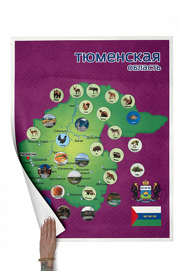 Родной край/республика/область. ТЮМЕНЬСКАЯ  ОБЛАСТЬ