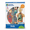 Развивающая игрушка "Анатомия человека. Тело"  (31 элемент)