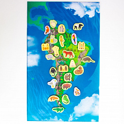 Обучающая игра из фетра карта Южной америки