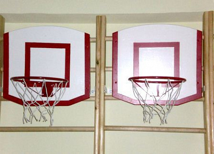 Щит баскетбольный навесной на шведскую стенку (с кольцом и сеткой)